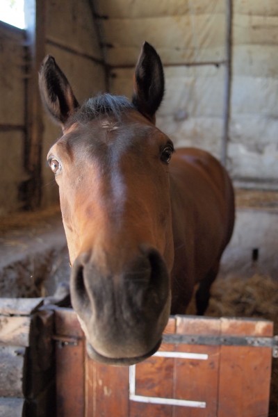 Photo de profil de laura334522