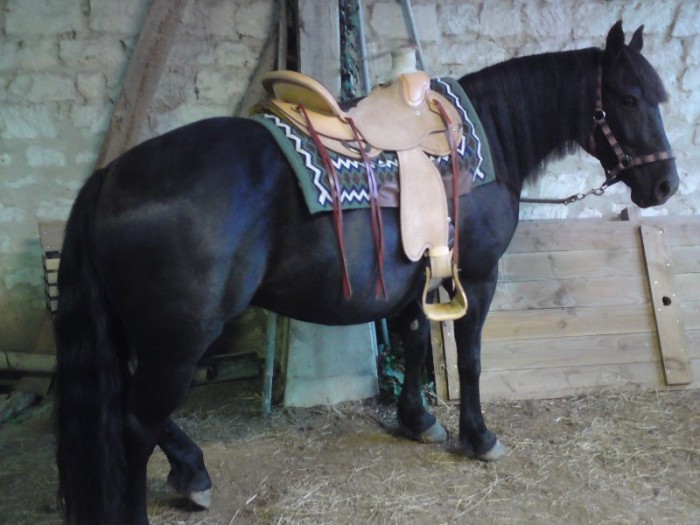 Photo de profil de dan60