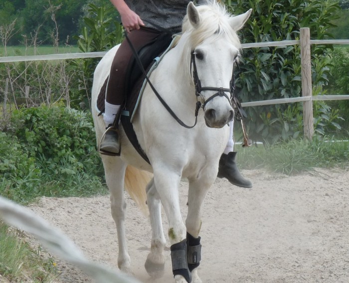 Photo de profil de vicrag
