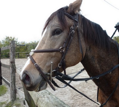 Photo de profil de delfina