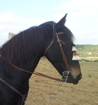 Photo de profil de blackandme