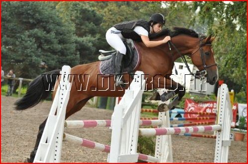 Photo de profil de cynthia2