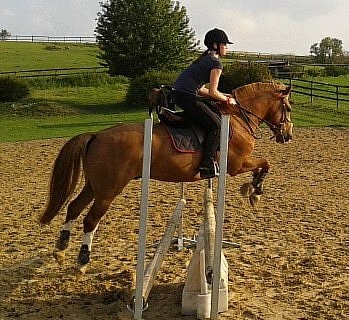 Photo de profil de chloedubuisson