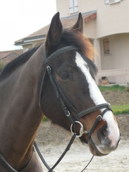 Photo de profil de origan51