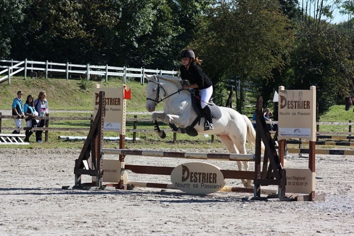 Photo de profil de wendyg