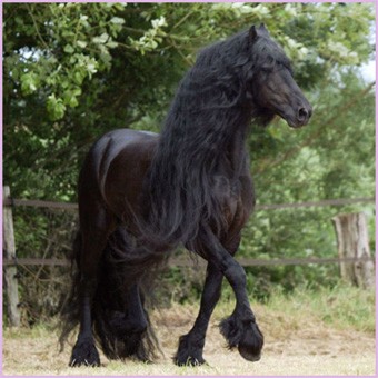 Photo de profil de luminence