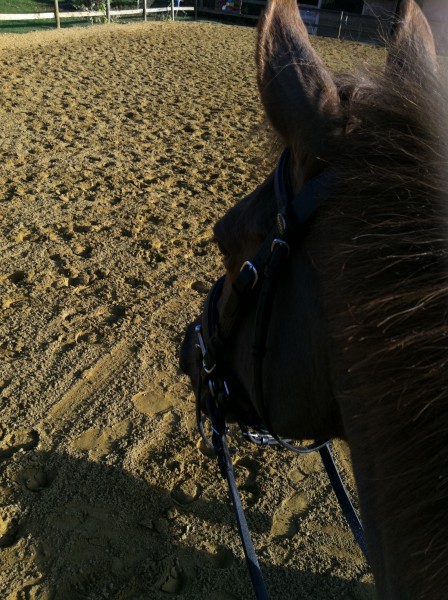 Photo de profil de lunar