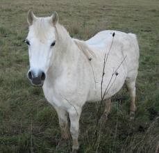 Photo de profil de leila227
