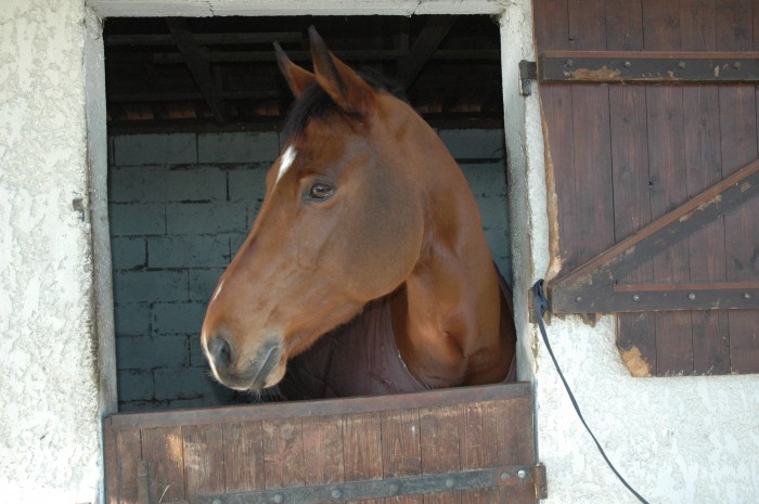 Photo de profil de so78