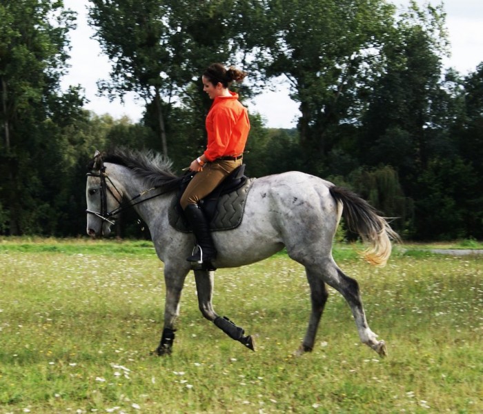 Photo de profil de aliciaous