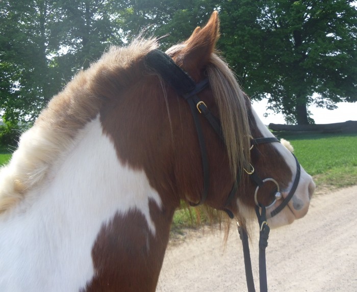 Photo de profil de auuurelieee