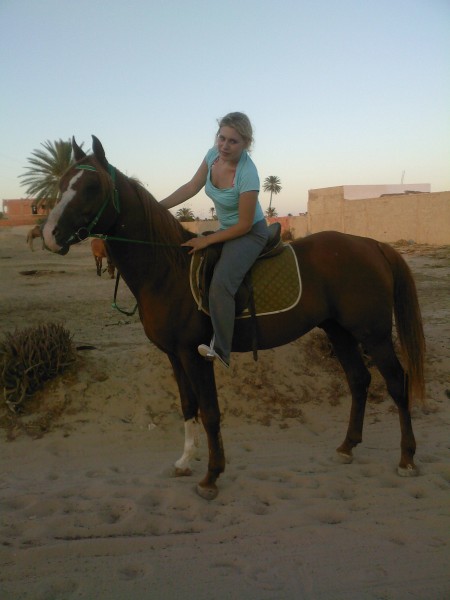 Photo de profil de sellerie62