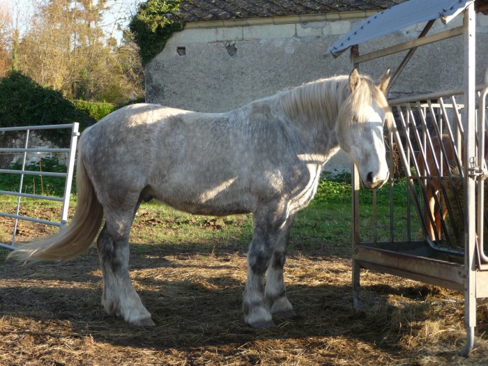 Photo de profil de caramelle37