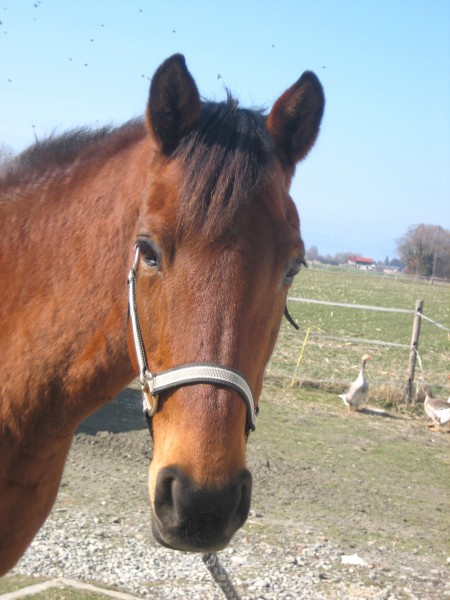 Photo de profil de cindyreymermet