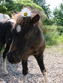 Photo de profil de laura62550