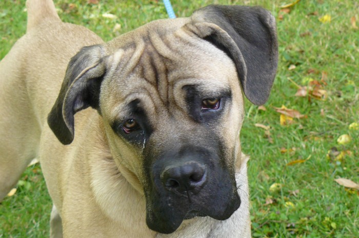 Photo de profil de chplay91