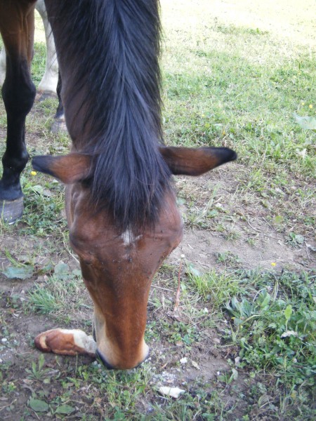 Photo de profil de portonuevo