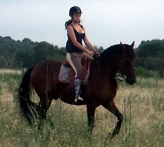 Photo de profil de apache.kansas