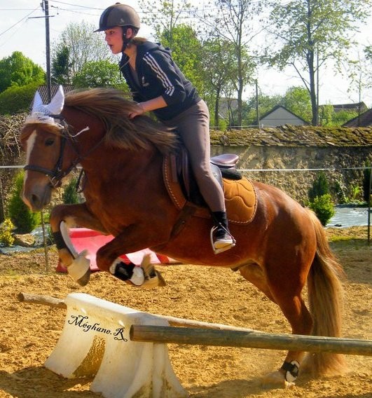 Photo de profil de csandra