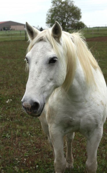 Photo de profil de edelweiss057