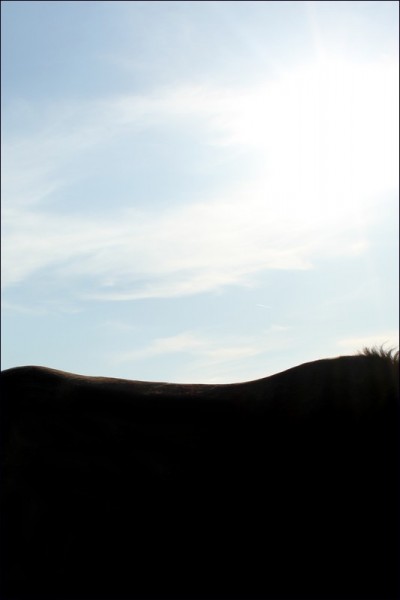 Photo de profil de samychou