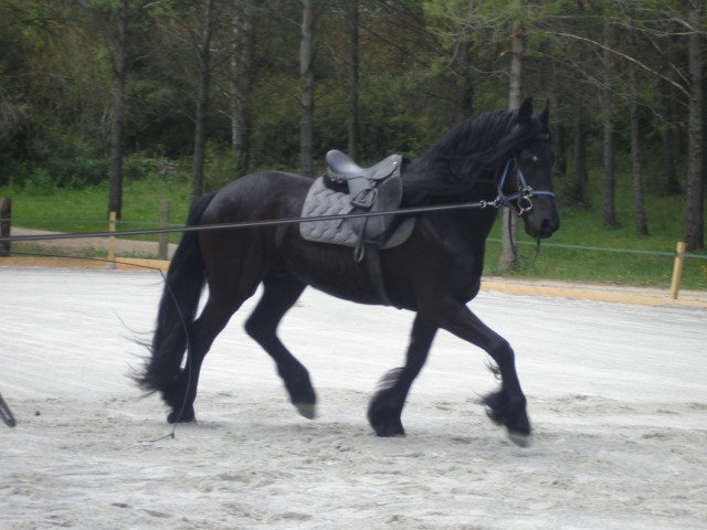 Photo de profil de biondi