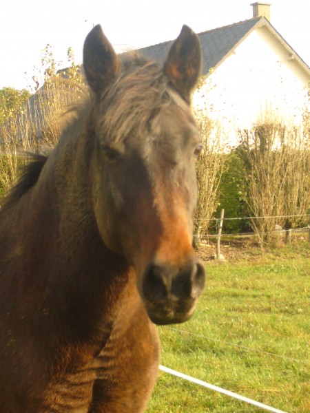 Photo de profil de ophelie44540