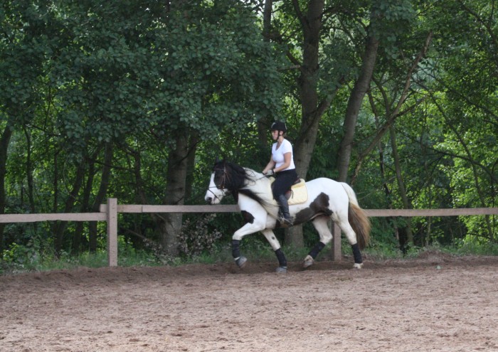 Photo de profil de linebodo