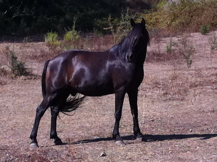 Photo de profil de jobustori