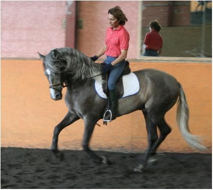 Photo de profil de flodulin