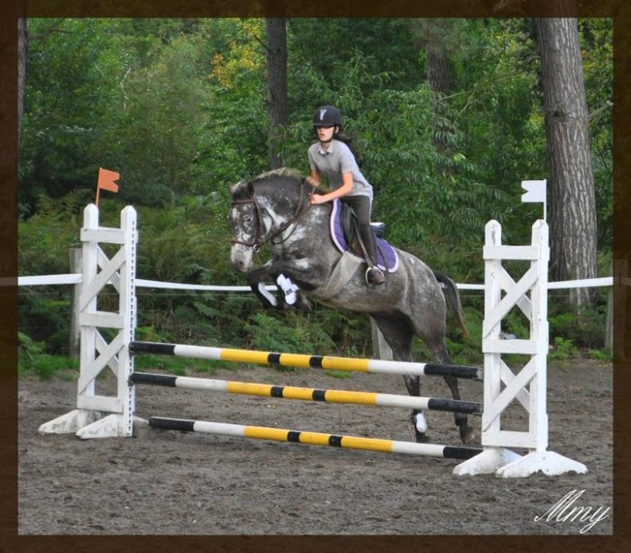 Photo de profil de chevalekit