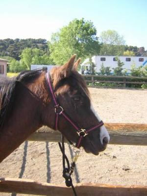 Photo de profil de teki