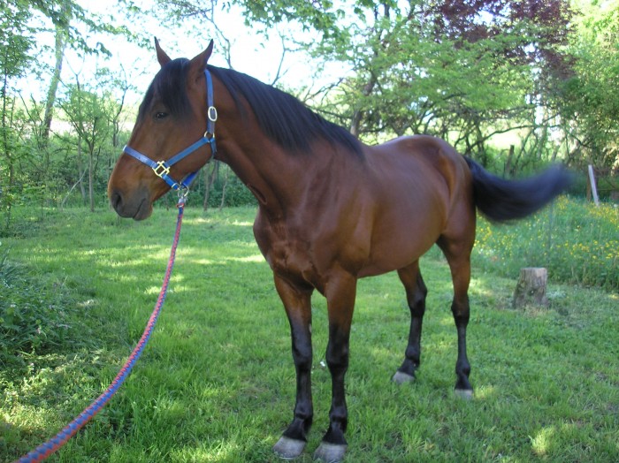 Photo de profil de draco12