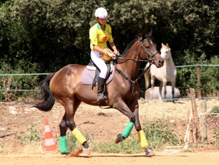 Photo de profil de horseball34