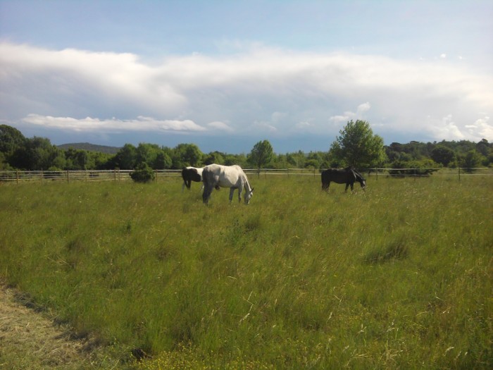 Photo de profil de caro83136