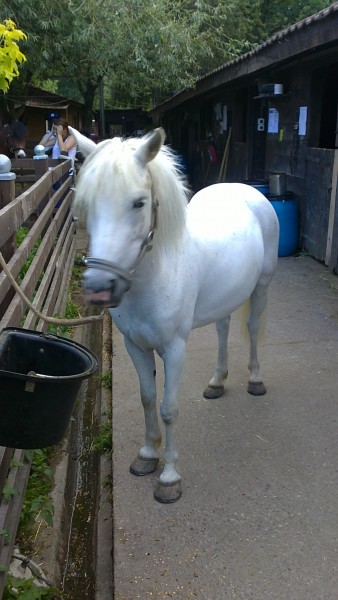 Photo de profil de kayenne