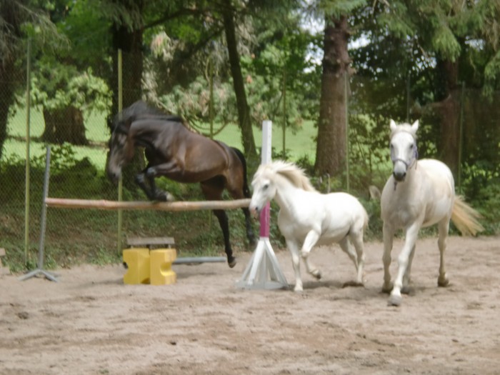 Photo de profil de trickytricks