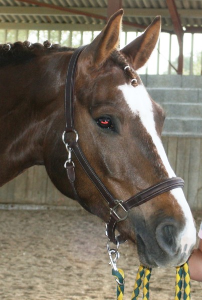 Photo de profil de sansouci