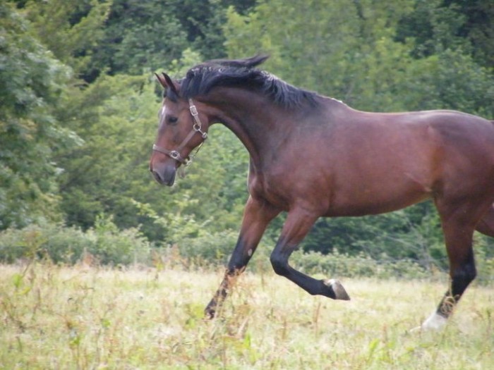 Photo de profil de hellspawn