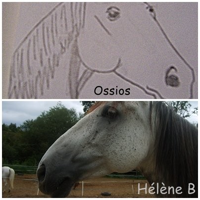 Photo de profil de evelea