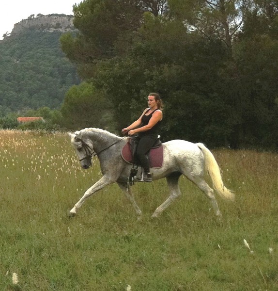 Photo de profil de lagrise