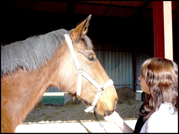 Photo de profil de sarahh03