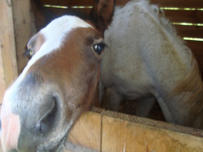 Photo de profil de momo21