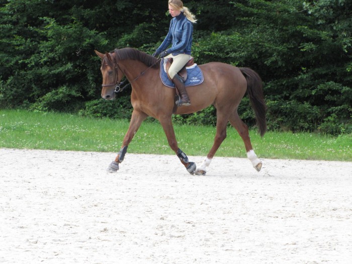 Photo de profil de illostra