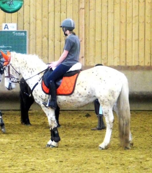 Photo de profil de amandine60220