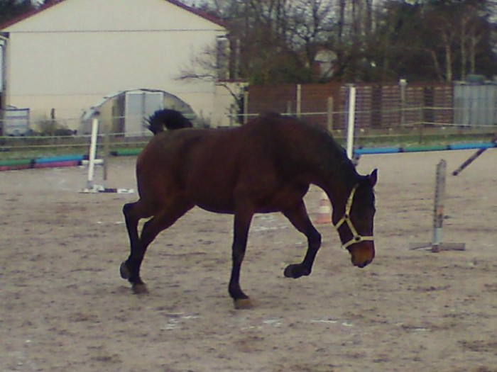 Photo de profil de uncheval17