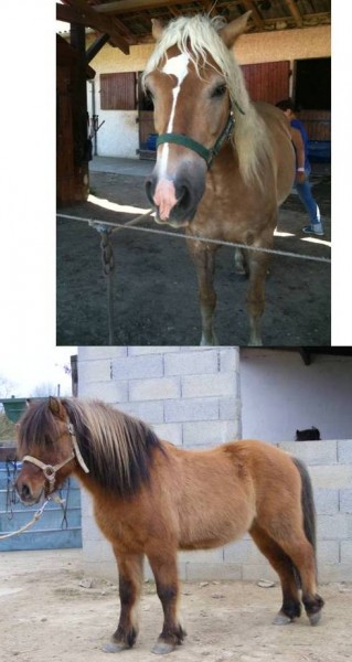 Photo de profil de panama69