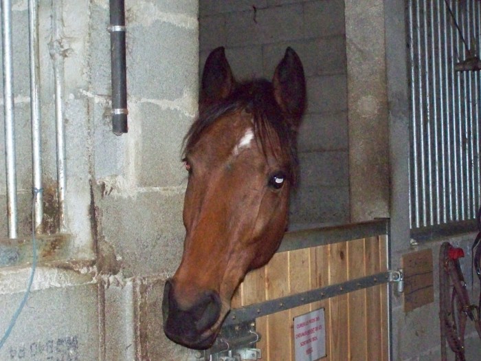 Photo de profil de julie17520