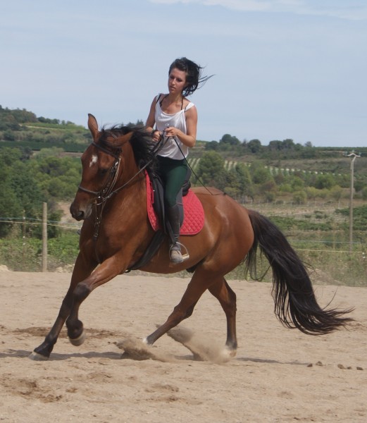 Photo de profil de jennisturiale