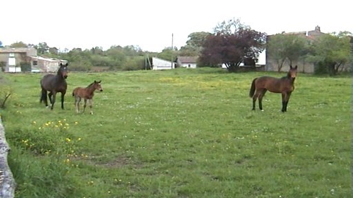 Photo de profil de kshippie